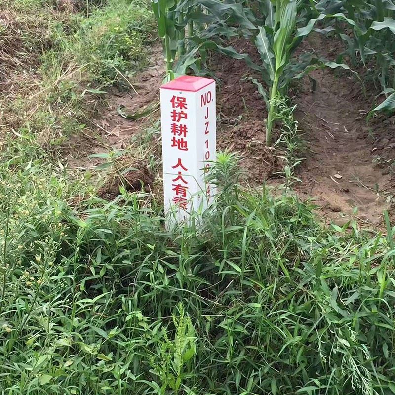 bb65794e-bfb9-4ba3-954b-dfed6743e3b1